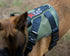 Air Mesh Ghost Harness - War dog