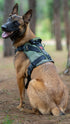 Air Mesh Ghost Harness - War dog