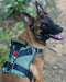 Air Mesh Ghost Harness - War dog