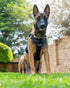 Air Mesh Ghost Harness - War dog
