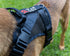 Air Mesh Ghost Harness - War dog