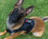 Air Mesh Ghost Harness - War dog