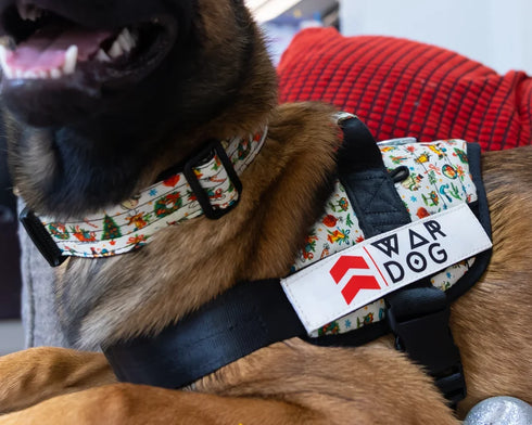 Limited Edition Festive collar - War Dog