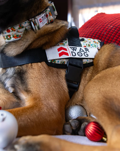 Festive Harness - War dog