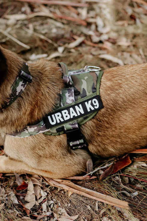 Urban Adventurer Harness - War Dog