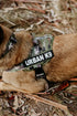 Urban Adventurer Harness - War Dog