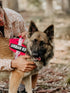 Urban Adventurer Harness - War Dog