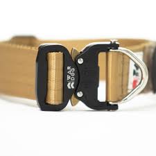 War Dog Echo Collar - 38mm Wide - War Dog Tactical