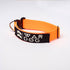 War Dog Echo Collar - 38mm Wide - War Dog Tactical