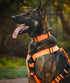 Seeker Harness - War Dog